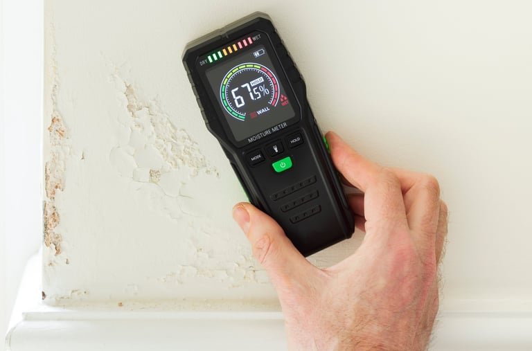 Professional leak detection service