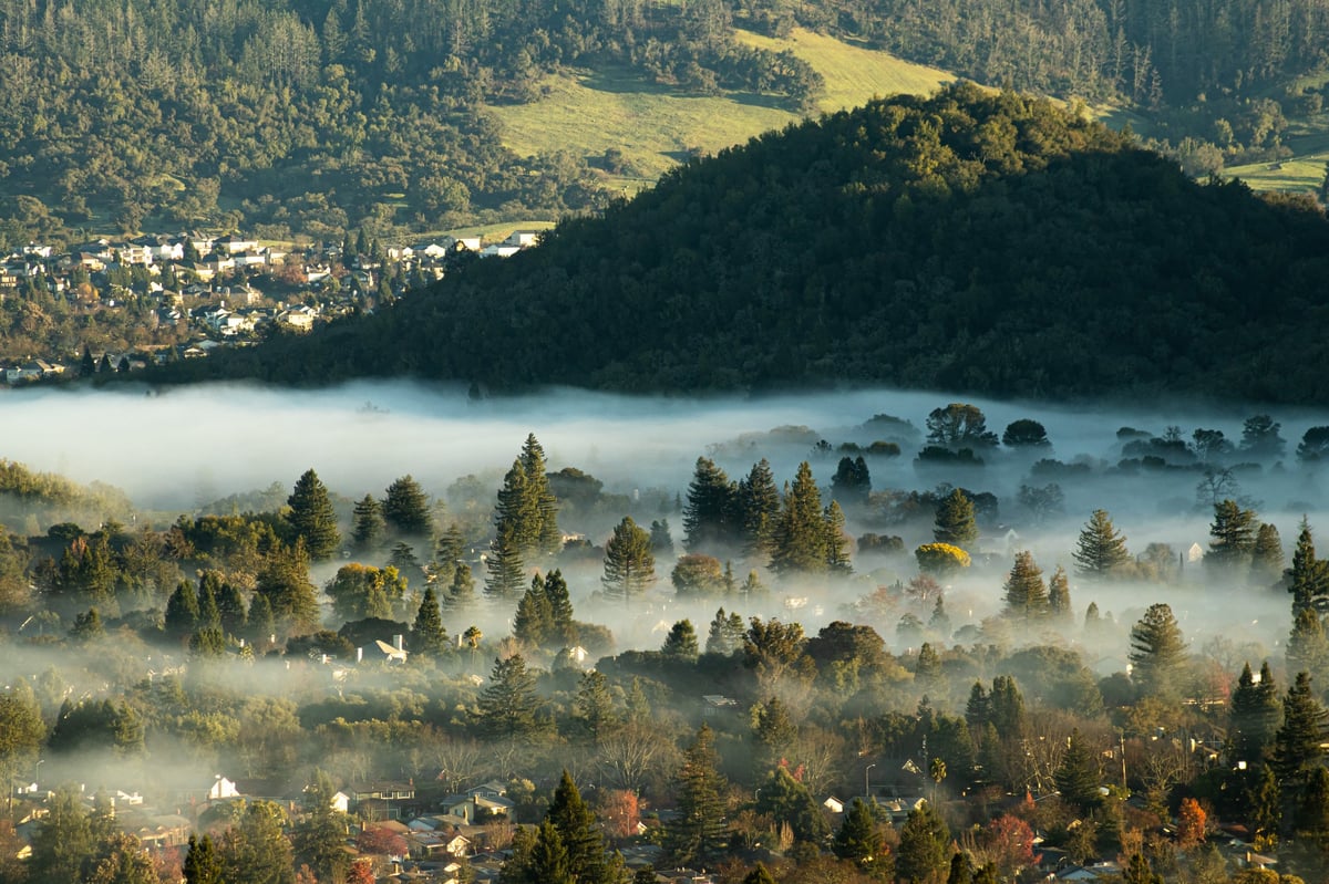 High angle aerial view of a foggy morning over a valley with tree-lined hillside lots
