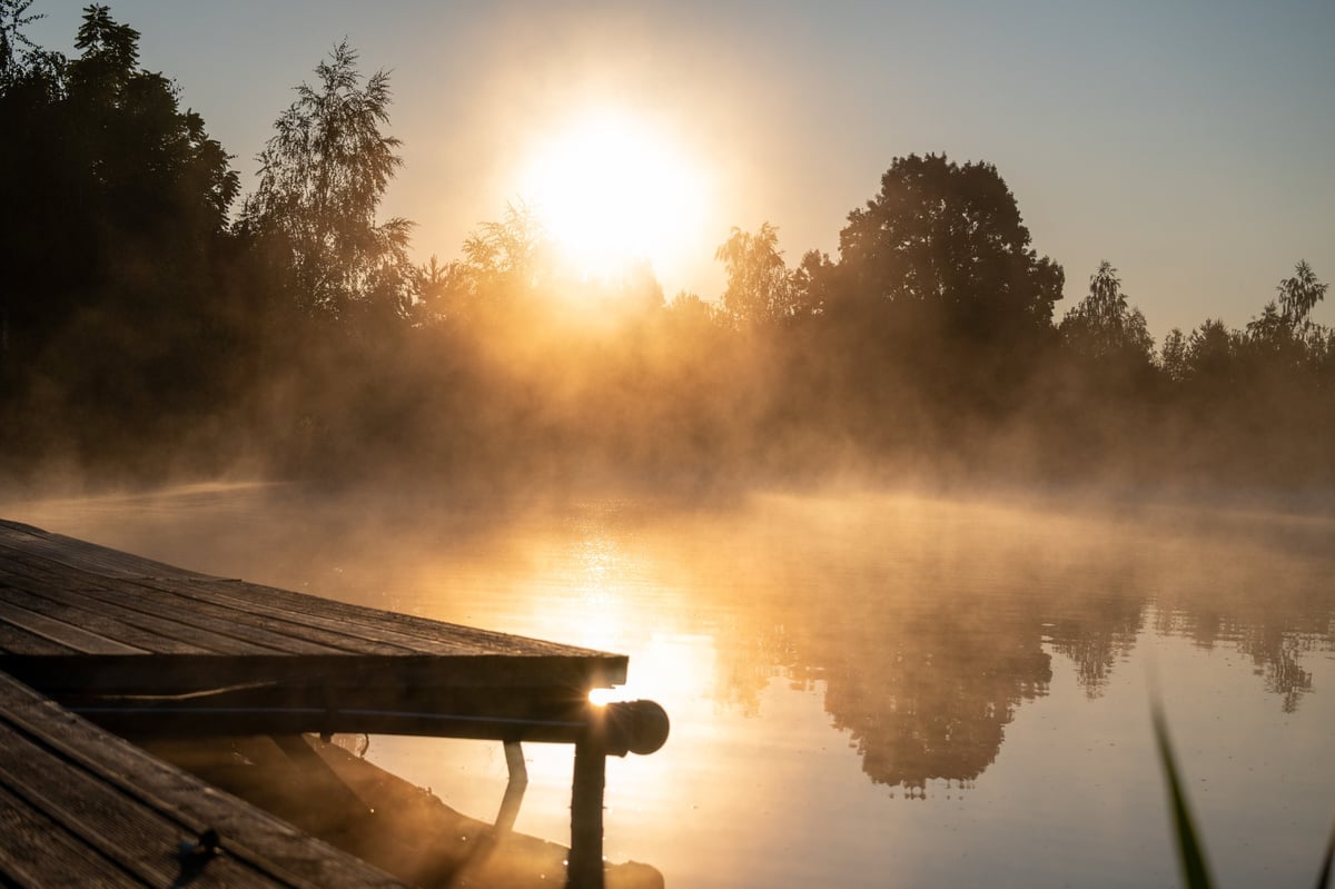 Golden sunrise shining through morning mist above calm lake with wooden dock and tree reflections